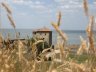Belgorod-Dnestrovsky5.jpg - 